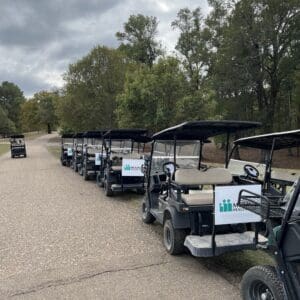 Golf carts lined up on a path.