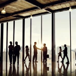 Silhouetted professionals shaking hands in office